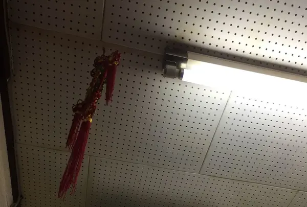 一番餃子屋の写真・動画_image_140890