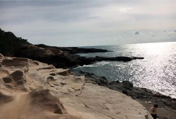千畳敷の写真・動画_image_140927