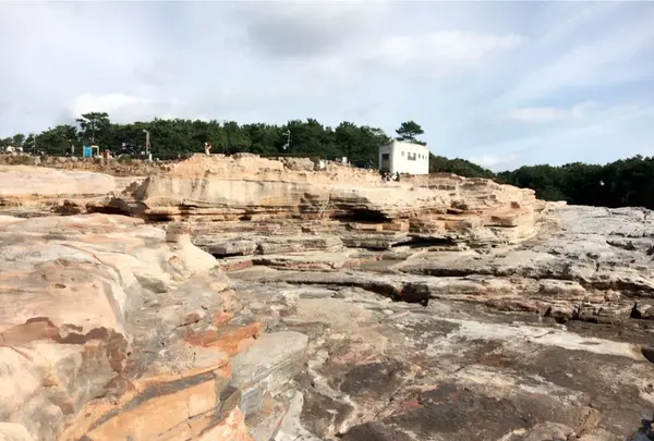 千畳敷の写真・動画_image_140928