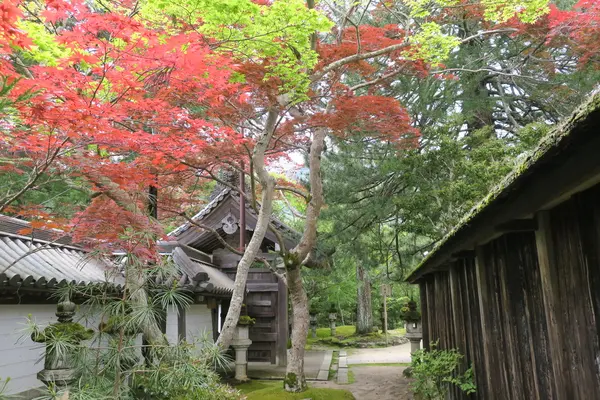 西明寺の写真・動画_image_140966