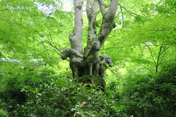 西明寺の写真・動画_image_140967