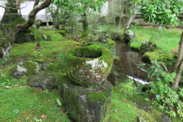 西明寺の写真・動画_image_140968