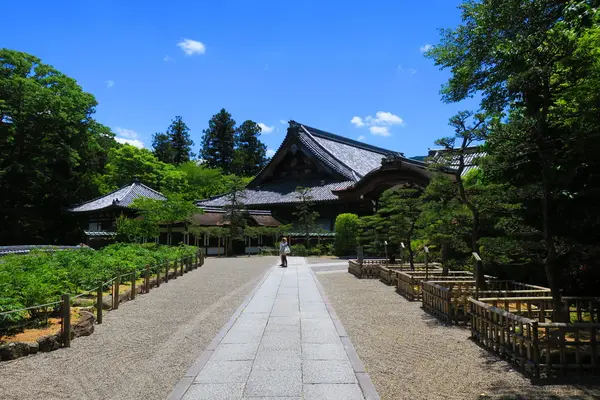長谷寺の写真・動画_image_140987