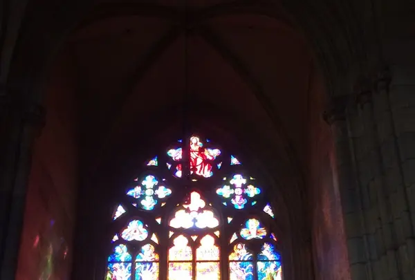 聖ヴィート大聖堂の写真・動画_image_140994