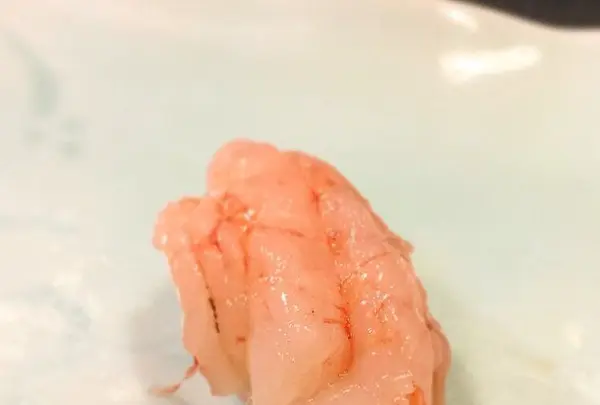 本種の写真・動画_image_141054