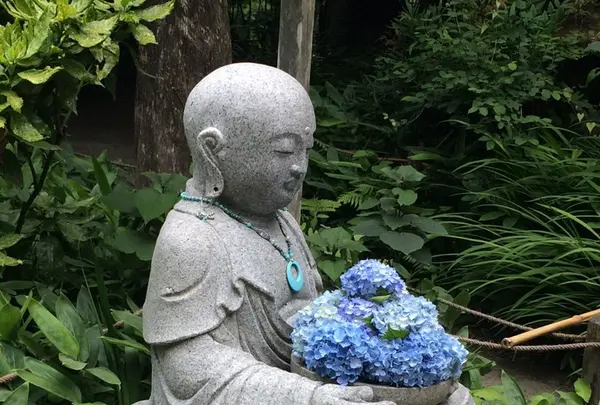 明月院（あじさい寺）の写真・動画_image_141147