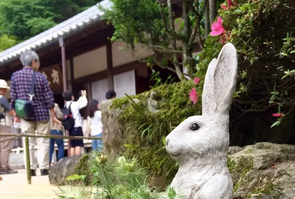 明月院（あじさい寺）の写真・動画_image_141148