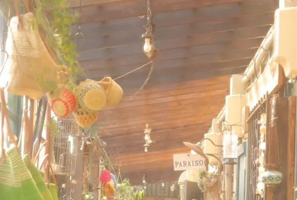 カルジーナの写真・動画_image_141281