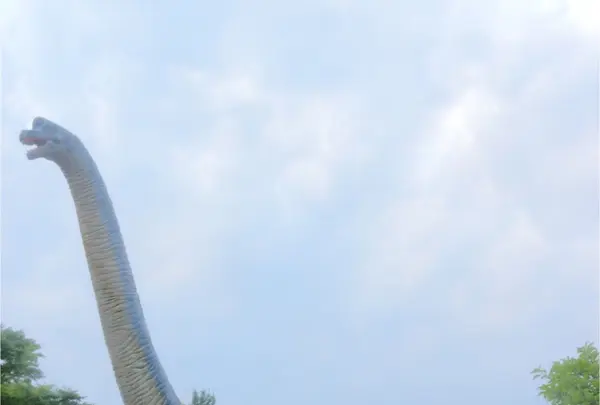 岡崎市東公園動物園の写真・動画_image_141287