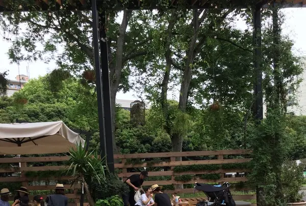 ミスターファーマーの写真・動画_image_141345