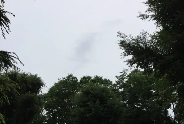 駒沢オリンピック公園の写真・動画_image_141346