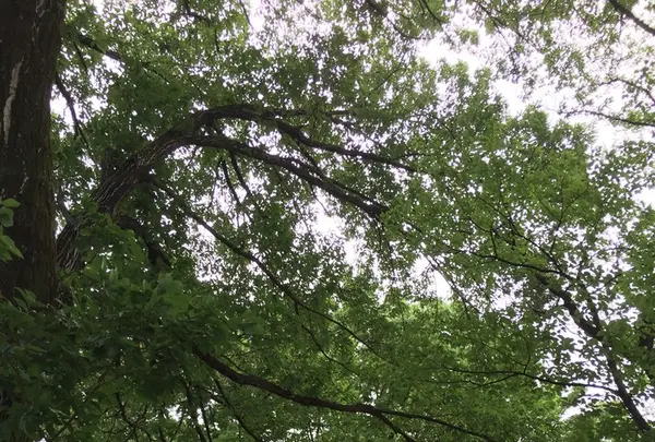 駒沢オリンピック公園の写真・動画_image_141347