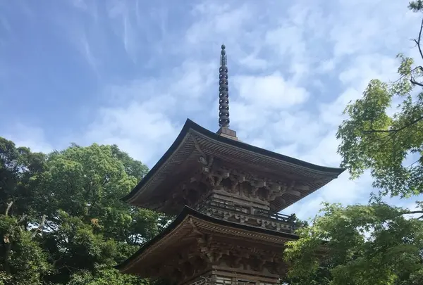 岩殿山 安楽寺の写真・動画_image_141525