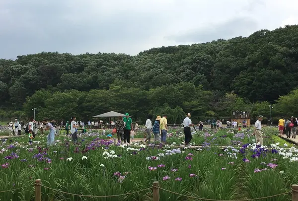 北山公園の写真・動画_image_141526