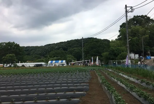 野口製麺所の写真・動画_image_141533