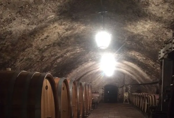 Zámek Mělníkの写真・動画_image_141539