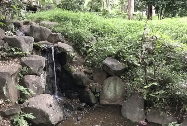 有栖川宮記念公園の写真・動画_image_141614
