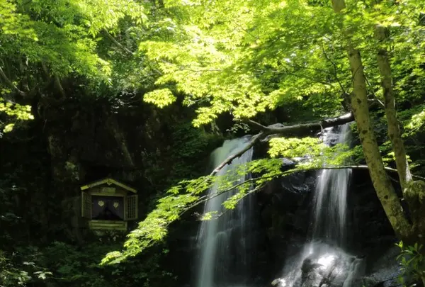 県立自然公園宇津江四十八滝の写真・動画_image_141622