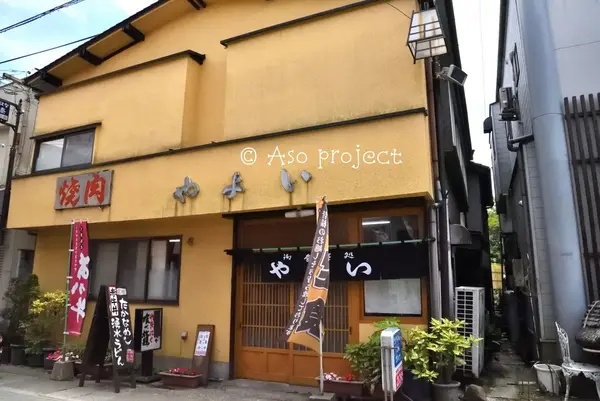 やよいの写真・動画_image_141657