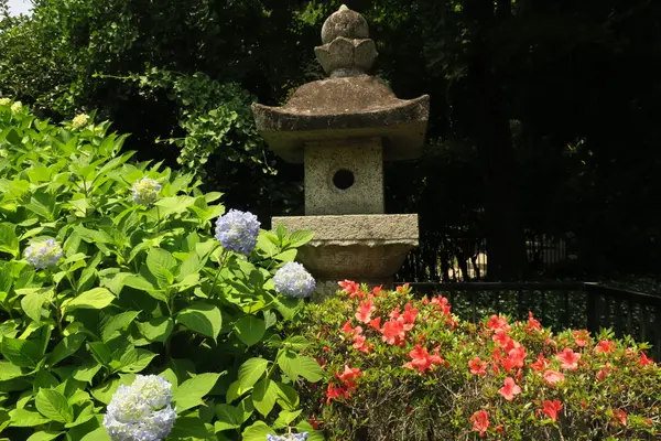 久安寺の写真・動画_image_141674