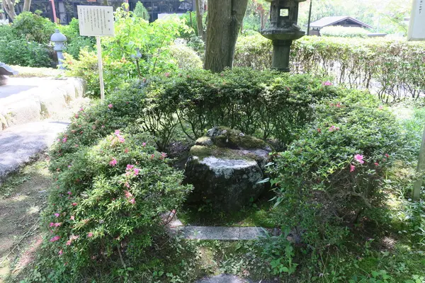 久安寺の写真・動画_image_141675