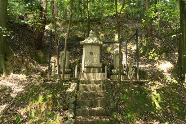 満願寺の写真・動画_image_141681