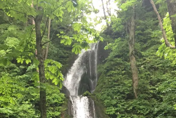 奥入瀬渓流　　の写真・動画_image_141736