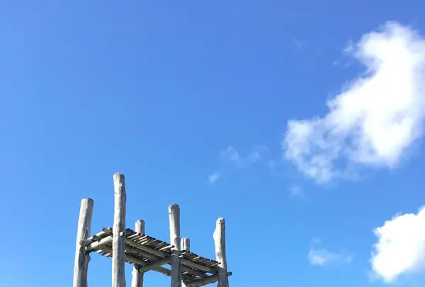 三内丸山遺跡の写真・動画_image_141744