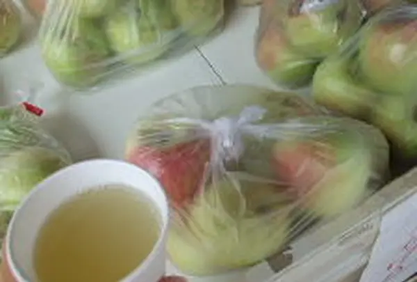 原観光りんご園の写真・動画_image_141924