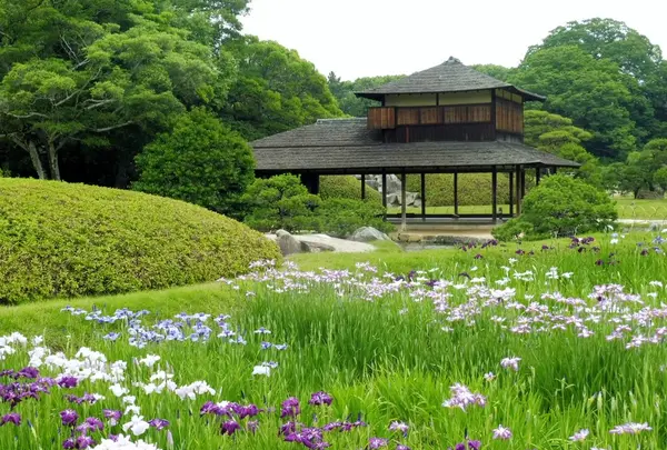 岡山後楽園の写真・動画_image_141969