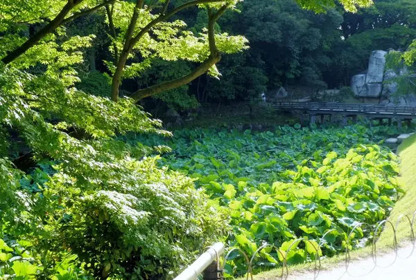 岡山後楽園の写真・動画_image_141972