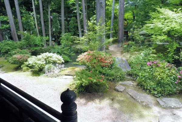 誕生寺の写真・動画_image_142041
