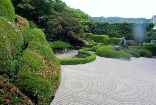 天柱山 頼久寺の写真・動画_image_142044
