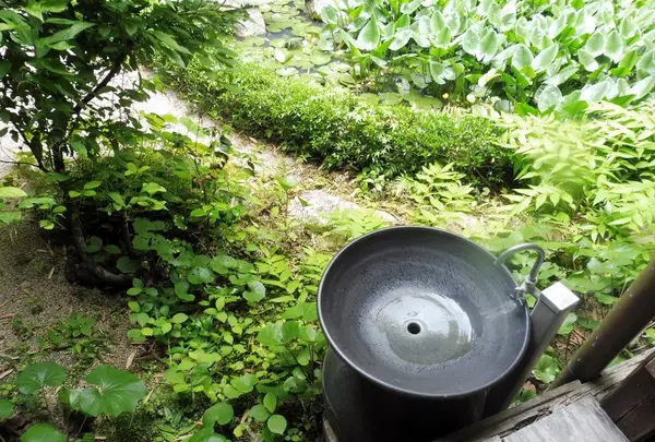 天柱山 頼久寺の写真・動画_image_142047