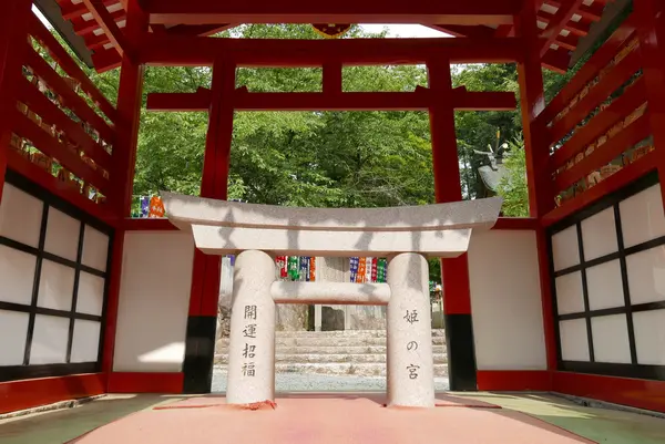 大縣神社の写真・動画_image_142307