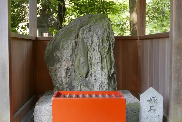大縣神社の写真・動画_image_142309