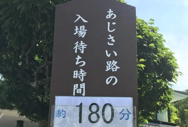 長谷寺の写真・動画_image_142457