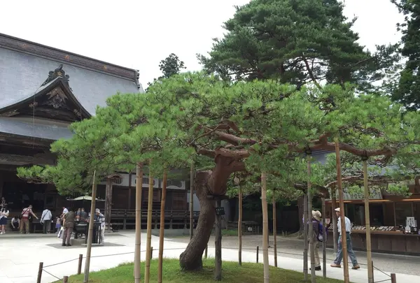 中尊寺の写真・動画_image_142508