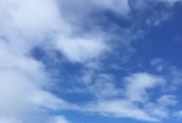 浄土ヶ浜の写真・動画_image_142511