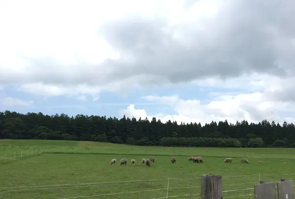 小岩井農場の写真・動画_image_142532