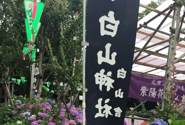 白山神社の写真・動画_image_142640
