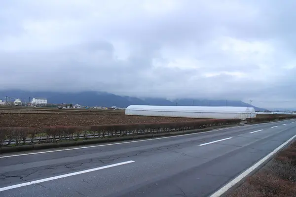 諏訪湖いちご園の写真・動画_image_142654