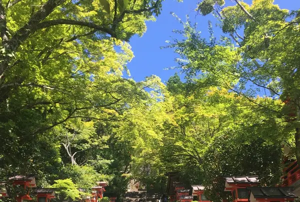 鞍馬寺の写真・動画_image_142680