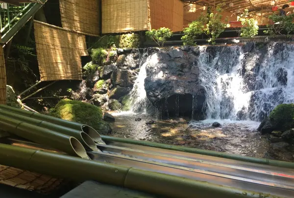 ひろ文の写真・動画_image_142684