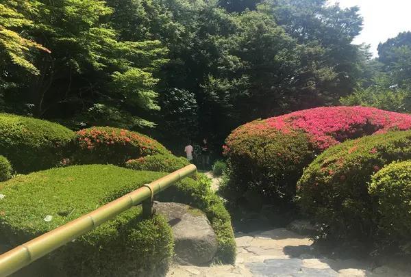 詩仙堂丈山寺の写真・動画_image_142689