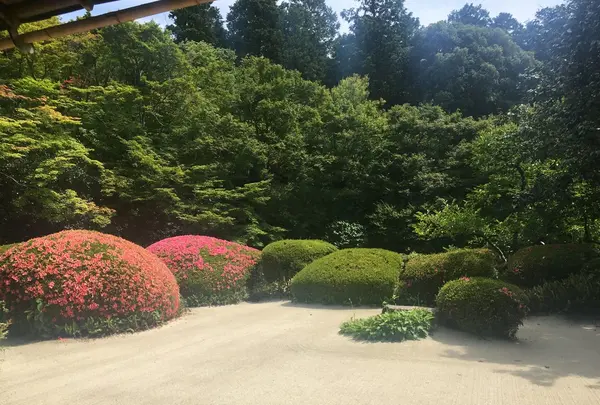 詩仙堂丈山寺の写真・動画_image_142690