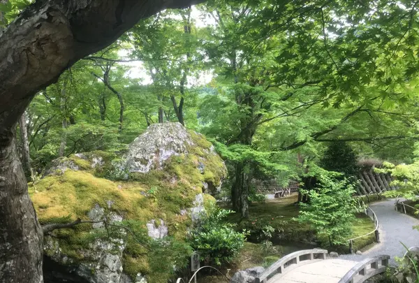 宝厳院の写真・動画_image_142753