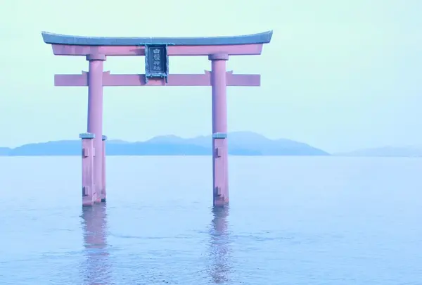 白鬚神社の写真・動画_image_142788