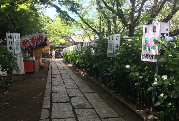 保和苑の写真・動画_image_142959