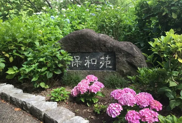 保和苑の写真・動画_image_142961